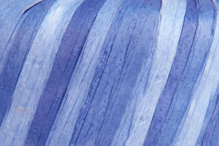 Fibra Natura Raffia