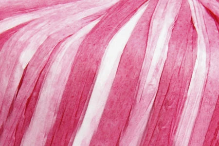 Fibra Natura Raffia