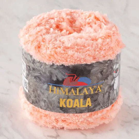 Himalaya Koala