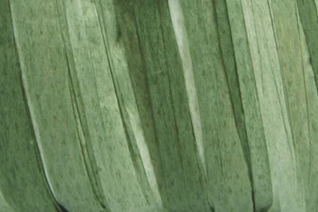 Fibra Natura Raffia