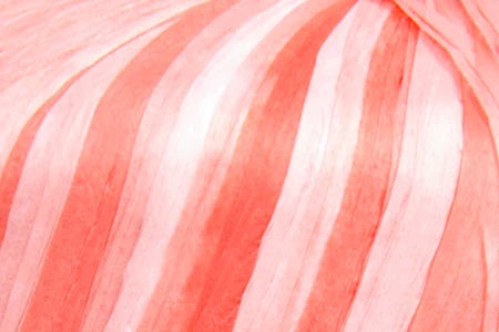 Fibra Natura Raffia